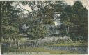 Postkarte - Stafford - Sherbrook Valley