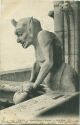 Postkarte - Paris - Notre-Dame Chimère