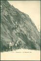 Postkarte - Chamonix - Le Mauvais Pas - Ziegen ca. 1900