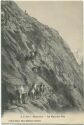 Postkarte - Chamonix - Le mauvais pas - Troupeau de chevres