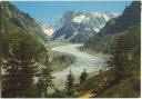 Chamonix - Mont Blanc - La Mer de Glace - Ansichtskarte