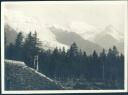Glacier de Bossons - Foto 8cm x 10cm ca. 1920