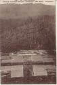 Ansichtskarte - CPA - Vieil-Armand