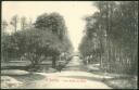 Postkarte - Vittel - Une Allee du Parc