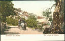 Ansichtskarte - Griechenland - Corfou - Le village de Peleka 1909