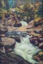 Predazzo - Wasserfall Sotosassa - Postkarte