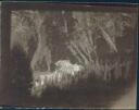 Trafoi - Foto ca. 10,5 cm x 8,5 cm - um 1900