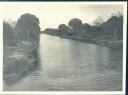 Ravenna - Pineta - Foto 8cm x 11cm ca. 1910