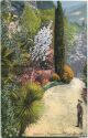 Postkarte - Meran - Vegetationsbild