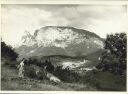Blick nach Völs 1935 - Foto 8cm x 11cm