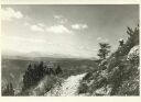 Blick auf Adanello Brenta und Ortler 1935 - Foto 8cm x 11cm