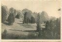 Gruppo Cir Val Gardena - Geislergruppe Gröden - Foto-AK
