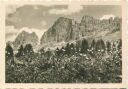 Sul Passo di Carezza - Gruppo del Catinaccio - Foto-AK