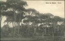 Ansichtskarte - 55042 Forte dei Marmi - Pineta