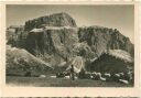 Gruppo di Sella - Dolomiti - Schäfer mit Schafherde - Foto-AK