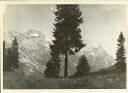 bei Cortina - Sorapis und Antelao 1935 - Foto 8cm x 11cm