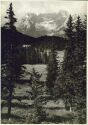 Blick auf den Misurinasee und Sorapis 1935 - Foto 8cm x 11cm