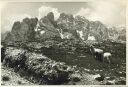 Kriegsschauplatz am Monte Piano - Blick zum Monte Cristallo 1935