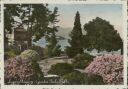 Postkarte - Lago Maggiore - Giardini - Isola Bella