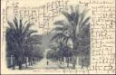 Nervi - Viale delle Palme - Riviera di Levante - Postkarte
