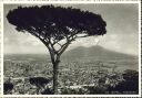Napoli - Panorama - Foto-AK