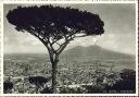 Napoli - Panorama - Foto-AK