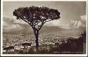 Postkarte - Napoli - Panorama da S. Martino