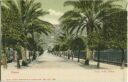 Postkarte - Nervi - Viale delle Palme ca. 1900