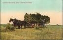 postcard - Canadian Harvesting - Clearing the Fields