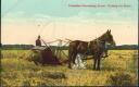 postcard - Canadian Harvesting - Cutting the Grain