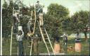 postcard - Apple Picking