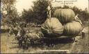 postcard - Canada - Pumpkins