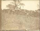 Trip nach Brakwater April 1911 - Foto 10cm x 12cm