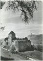 Vaduz - Schloss - Falknis - Foto-Ansichtskarte