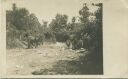 Mazedonien - Militär - Pferde und Muli - Foto-AK ca. 1915