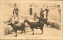 A Herd of Goats - Malta