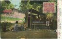 Postkarte - Mexico - Santa Maria del Tule