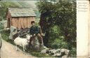 Ansichtskarte - Norway - Hardanger ca. 1900