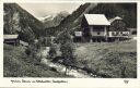 Foto-AK - Grüner Baum im Kötschachtal