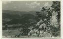 Hohe Wand - Wagnersteig - Ausstieg - Foto-AK 1952