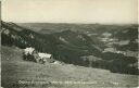 Ötscher Schutzhaus - Blick nach Lackenhof - Foto-AK