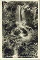 Foto-AK - Loich - Ursprung mit Wasserfall