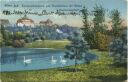 Postkarte - Wien - Türkenschanzpark und Krankenhaus der Wiener Kaufmannschaft