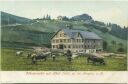 Postkarte - Lochau - Pfänderdohle mit Hotel bei Bregenz a. B. ca. 1905