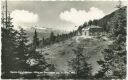 Theodor-Karl-Holl-Haus - Lawinenstein - Dachstein - Foto-AK