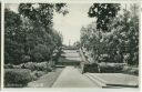 Postkarte - Insterburg - Tschernjachowsk - Promenade