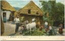 Postkarte - Madeira - Costume campestre