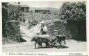 S Miguel - Acores - Carroca de Carneiro - Schafskarren - Foto-AK