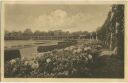 Postkarte - Breslau - Blick auf die Pergola von der Terrassengaststätte an der Jahrhunderthalle