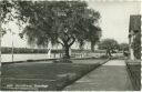 Steckborn - Seeanlage - Foto-AK